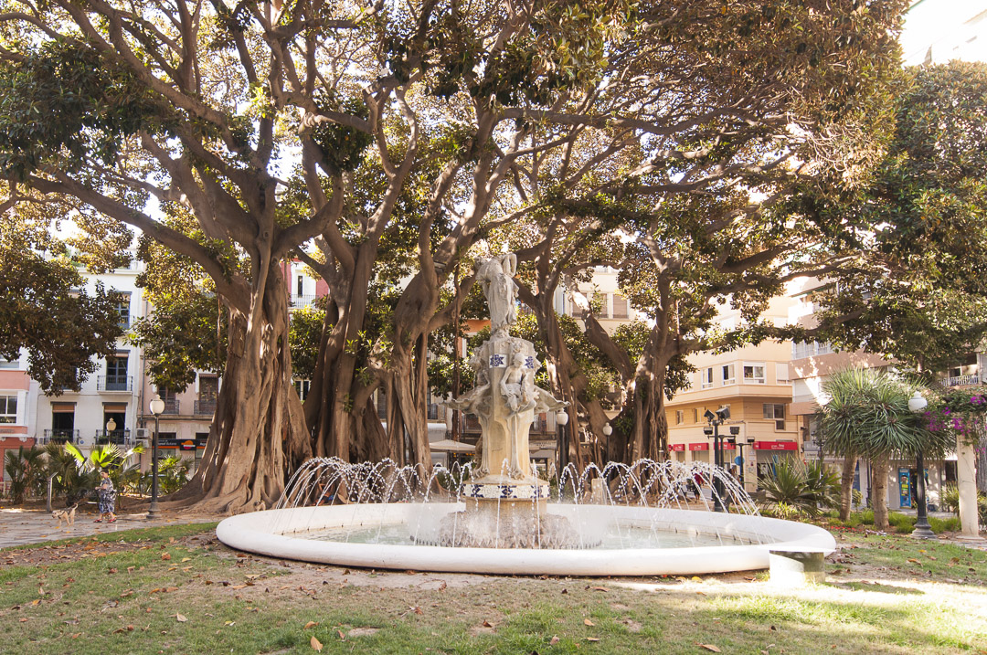 volvo ocean race 2014 alicante-12