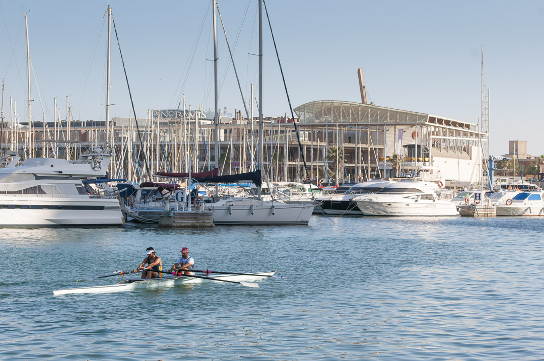 volvo ocean race 2014 alicante-15