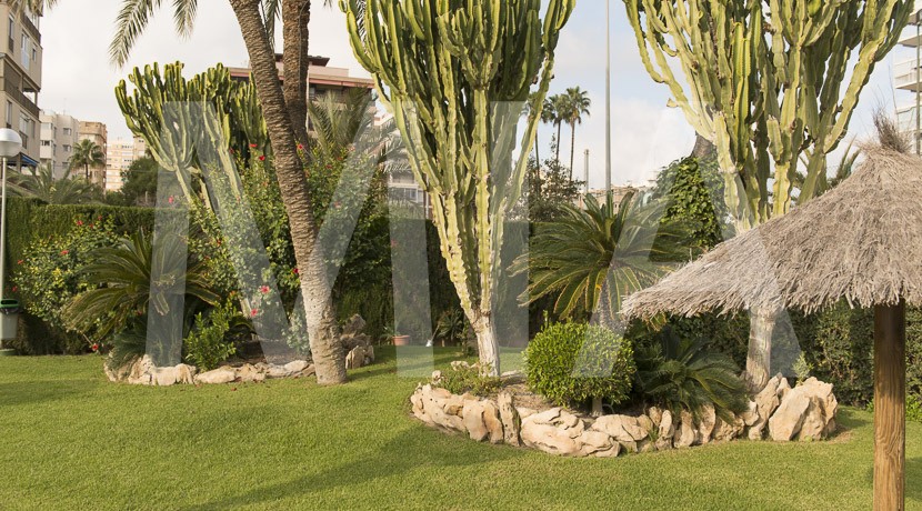 buy property playa san juan seafront apartment-40