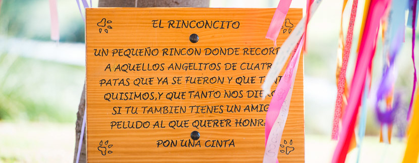 dog memorial park alicante costa blanca