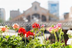 alicante city centre near market apartment for sale