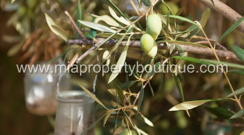 bungalow se vende cabo huertas alicante
