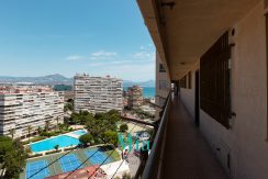 IMG_0256