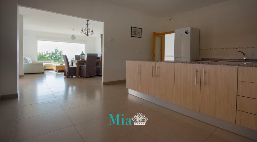 09-chalet-venta-partida_aler-alt_vinalopo-biar-alicante-16