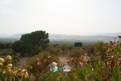 30-chalet-venta-partida_aler-alt_vinalopo-biar-alicante-30