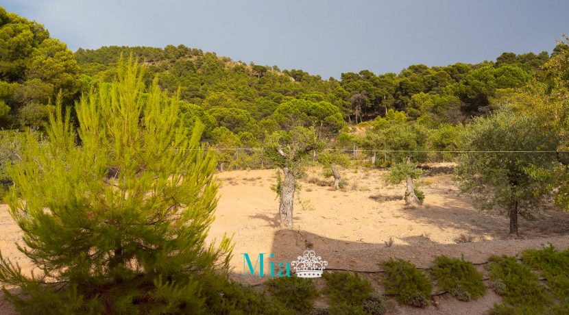 31-chalet-venta-partida_aler-alt_vinalopo-biar-alicante-31
