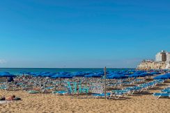 IMG_2979
