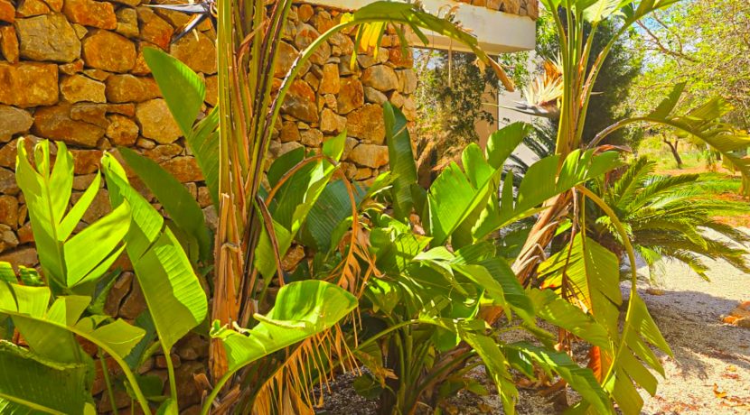 20250129-PHOTO-2025-01-18-20-00-31 2