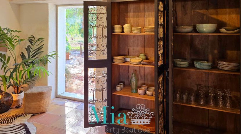 20250129-PHOTO-2025-01-18-20-00-34