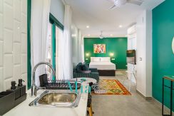 20250211-DSC07411-HDR