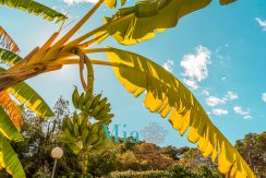 Mia piso ayela 2025-67